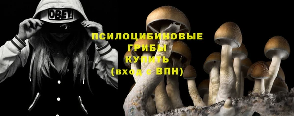 альфа пвп Белокуриха