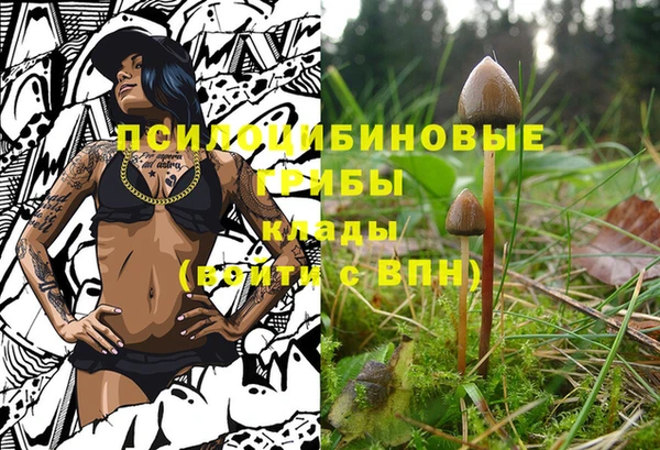 стаф Богородск