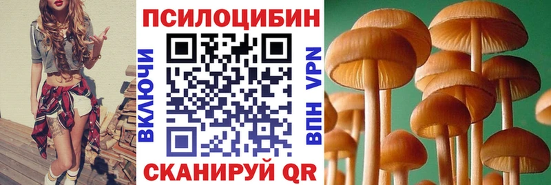 Купить  Октябрьский  Галлюциногенные грибы мицелий 